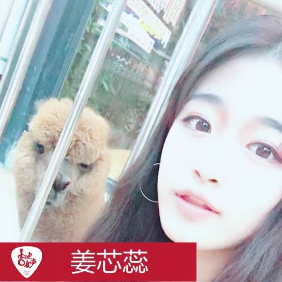 明升mansion吉他女声12强正式出炉-重磅嘉宾助阵上海总决赛