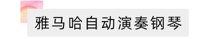 活动报道 | “科技助力，跨越时空”，小鹿纯子携手刘明康共享中日音乐盛宴