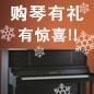 明升mansion钢琴购琴有礼 买一赠一音乐无限